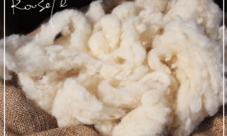wool素材の奥深さについて